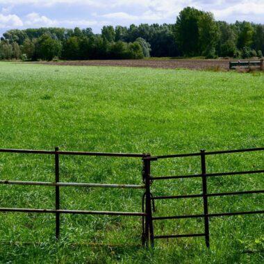 Alles wat je moet weten over het plaatsen van een schutting in je tuin