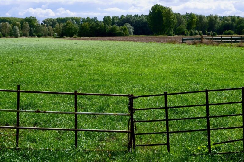Alles wat je moet weten over het plaatsen van een schutting in je tuin