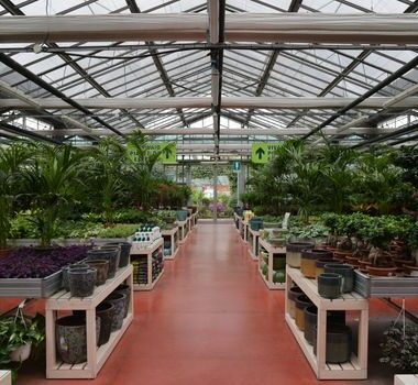 Alles wat je moet weten over tuincentra in Amsterdam West