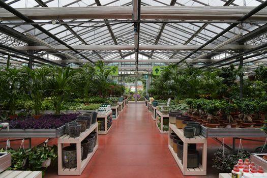 Alles wat je moet weten over tuincentra in Amsterdam West